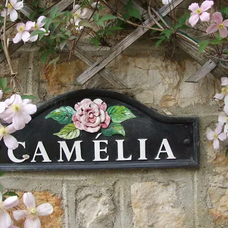 Camelia Alojamento de Acomodação e Pequeno-almoço